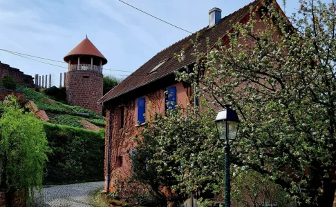 Accueil