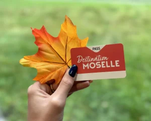 Accueil