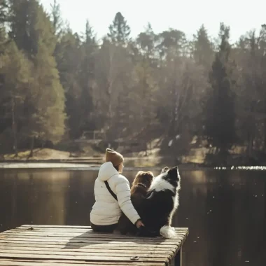 Une destination dogfriendly
